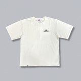 CMT 통치자 안료 티