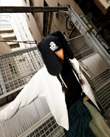 galfy × centimeter dog ear beanie