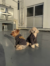 heart logo hoodie( for pets)