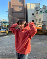 Pigment Raglan Universal Logo Hoodie