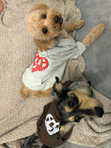 heart logo hoodie( for pets)