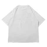 Clover pigment set up