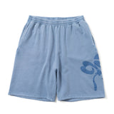 Clover pigment set up