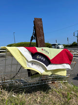 numbering raglan tee