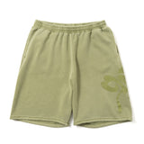 Clover pigment set up