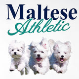 WAI KEI x MSB Maltese Athletic Tee