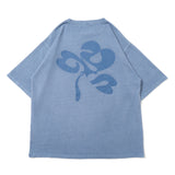 Clover pigment set up