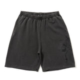 Clover pigment set up