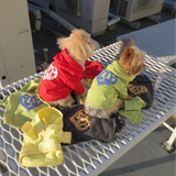 heart logo hoodie( for pets)