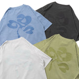 Clover pigment set up