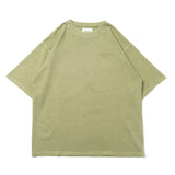 Clover pigment set up