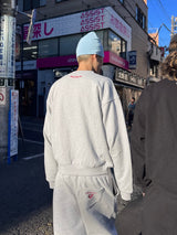 LaguAgem x hth SW PT