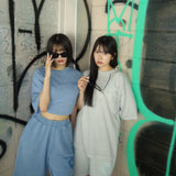 Clover pigment set up