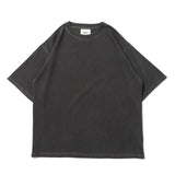 Clover pigment set up