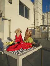 heart logo hoodie( for pets)