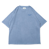 Clover pigment set up