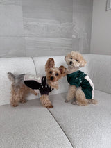 Numbering Game Shirt ( for pets )