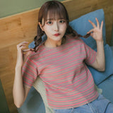 【BACHURA】border knit