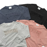 Pigment College Logo LS TEE