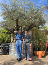 CMT RULER SWEAT PANTS