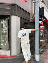 CMT 통치자 안료 티