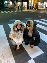 彩色口袋生態下降