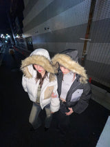 彩色口袋生態下降