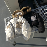 彩色口袋生態下降