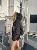 彩色口袋生態下降