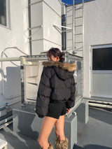 彩色口袋生態下降