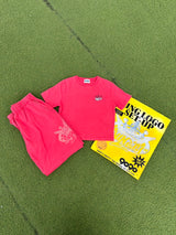 國王徽標清洗設置包