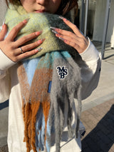 check volume muffler