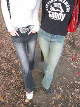 Starlight rhinestone flare denim