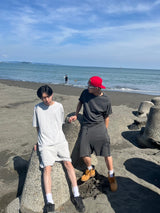 Clover pigment set up