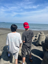 Clover pigment set up