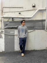 Globe徽標透明編織