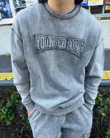 顏料學院徽標汗