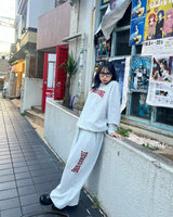 顏料學院徽標汗