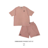 Embroidery Pigment Set Up