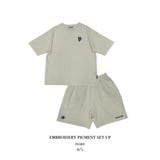 Embroidery Pigment Set Up