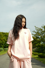 Embroidery Pigment Set Up