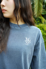 Embroidery Pigment Set Up