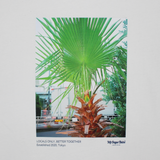 MSB summer photo Tee