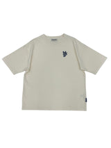 Embroidery Pigment Set Up