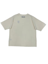 Embroidery Pigment Set Up