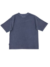 Embroidery Pigment Set Up