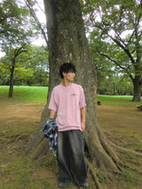 CMT 통치자 안료 티