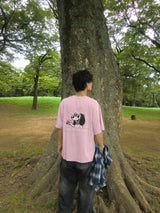 CMT 통치자 안료 티