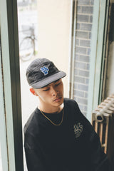 MSB jet logo cap