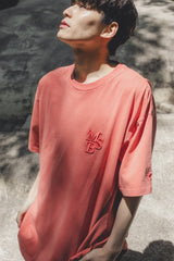 MSB刺繡色素染料T